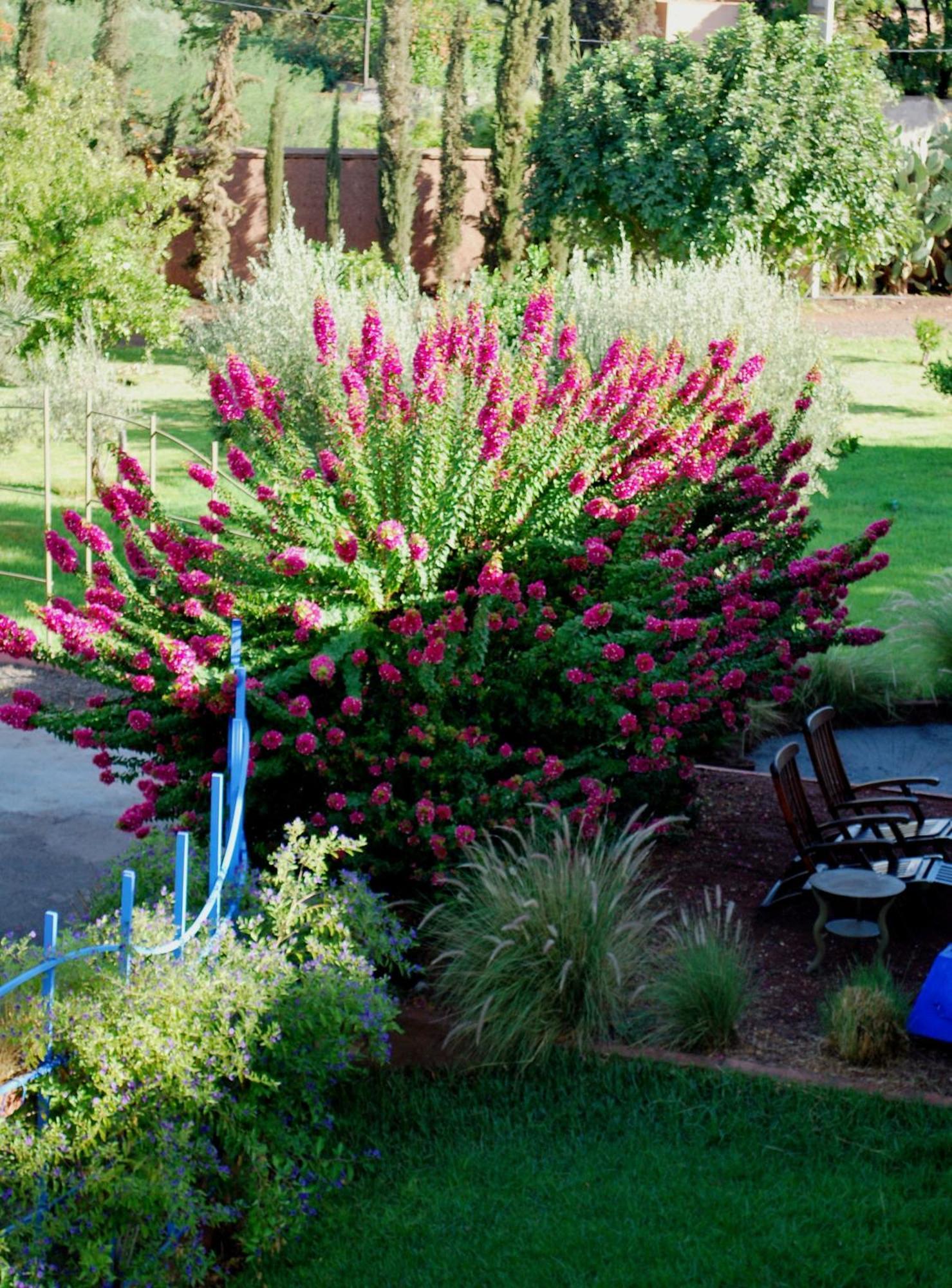 Guest house Casa Taos